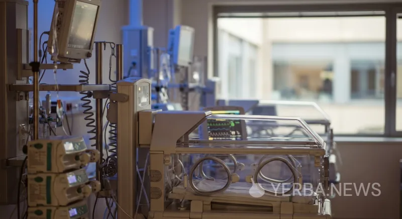 Researchers Document First Case of Neonatal Abstinence Syndrome Linked to Heavy Yerba Mate Consumption During Pregnancy